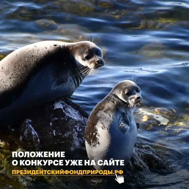 Экологические проекты из Саратова могут получить поддержку из грантового фонда в 1 млрд рублей Экологические проекты из Саратова могут получить поддержку из грантового фонда в 1 млрд рублей