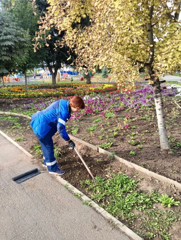 Ежедневные работы по благоустройству и наведению порядка в Балаково Ежедневные работы по благоустройству и наведению порядка в Балаково
