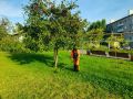 Уборка города. Коммунальные службы осуществляют уборку дорог и тротуаров, мойку и ремонт остановочных павильонов, уход за зелеными зонами, подбор мусора, а также ремонт дорожных знаков и ограждений
