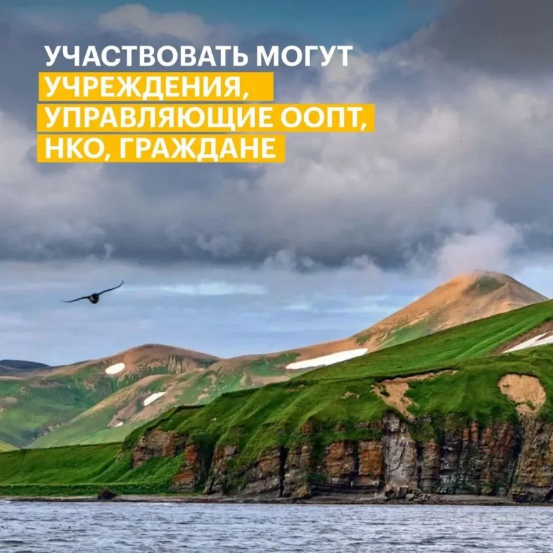 Экологические проекты из Саратова могут получить поддержку из грантового фонда в 1 млрд рублей Экологические проекты из Саратова могут получить поддержку из грантового фонда в 1 млрд рублей