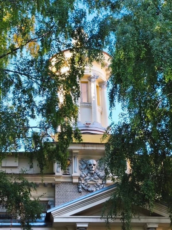 Какие тайны хранит классический университет? Какие тайны хранит классический университет?