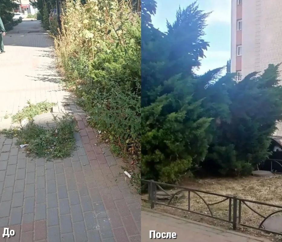 По поручению главы района Максима Леонова продолжается работа по комплексному благоустройству нескольких кварталов, расположенных вблизи «Бульвара роз» По поручению главы района Максима Леонова продолжается работа по комплексному благоустройству нескольких кварталов, расположенных вблизи «Бульвара роз»