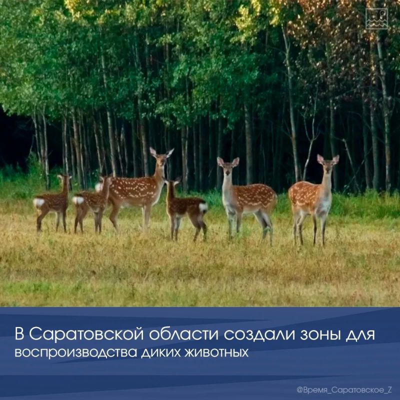 В Саратовской области создали зоны для воспроизводства диких животных
