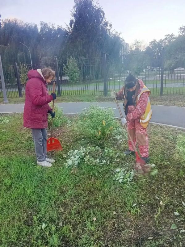В Балаково продолжаются работы по содержанию улиц и общественных территорий В Балаково продолжаются работы по содержанию улиц и общественных территорий