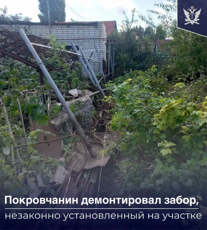 В Саратовской области судебные приставы помогли восстановить права местной жительницы, земельный участок которой частично занял сосед