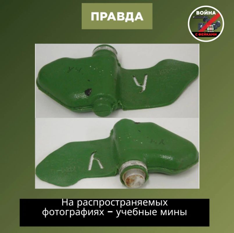 Фейк: В Заводском районе Саратова нашли мины ПФМ-1 «Лепесток», которые раскидали вражеские беспилотники во время налета Фейк: В Заводском районе Саратова нашли мины ПФМ-1 «Лепесток», которые раскидали вражеские беспилотники во время налета