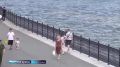� ���� ���� �������� ����������� 436 ���