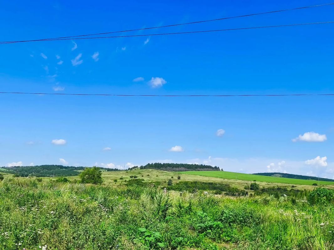 Волшебная страна Оркино. Волшебная страна Оркино.