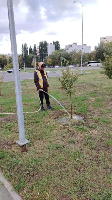 Ежедневные работы сотрудников «Комбината благоустройства» по содержанию улиц города Ежедневные работы сотрудников «Комбината благоустройства» по содержанию улиц города