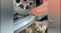 В автомобильной покрышке саратовские полицейские нашли тайник с наркотиками