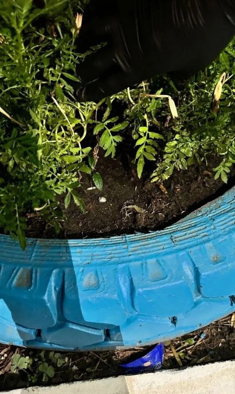 В Саратове оперативники регионального наркоконтроля пресекли сбыт метадона В Саратове оперативники регионального наркоконтроля пресекли сбыт метадона