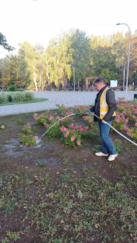 Сотрудники «Комбината благоустройства» ежедневно выполняют работы по благоустройству города Балаково Сотрудники «Комбината благоустройства» ежедневно выполняют работы по благоустройству города Балаково