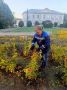 Сотрудники «Комбината благоустройства» ежедневно выполняют работы по благоустройству города Балаково