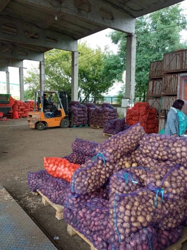Аграрный сектор Энгельсского района продолжает демонстрировать уверенный рост по сбору зерна Аграрный сектор Энгельсского района продолжает демонстрировать уверенный рост по сбору зерна