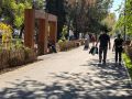 В Саратовской области потеплеет до плюс 26 градусов