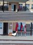 #ЕДГ2026 #РоссияГолосует. Но не все питомцы соблюдают порядок!