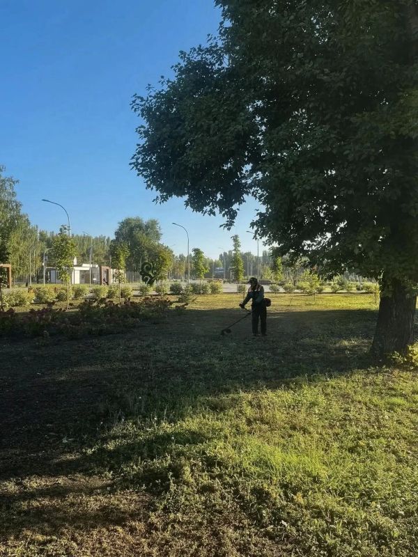 В Балаково коммунальные службы наводят порядок без выходных В Балаково коммунальные службы наводят порядок без выходных