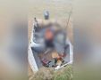 Два человека погибли при столкновении катера с берегом в Саратовской области