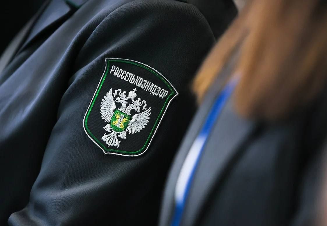 В Самарской области пресечена массовая торговля нелегальными ветпрепаратами