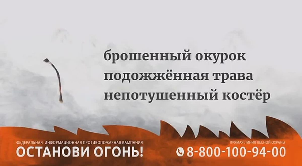 Безответственное отношение человека и природные катаклизмы приводят к снижению количества лесных угодий из-за огня