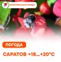�������, 26 ��������. � �������� ����� �����, +13�+15 �C. ���� ��� �������, ����������� +18�+20 �C. �� ������� ����� ��������������� �����, � ��������� ������� �������, +12�+17 �C, ��� ���������� �� +7 �C. ���� �������...