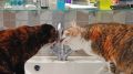 В Ленинском районе Саратова до ночи отключили воду