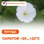 Воскресенье, 27 сентября. В Саратове ожидается переменная облачность, преимущественно без осадков