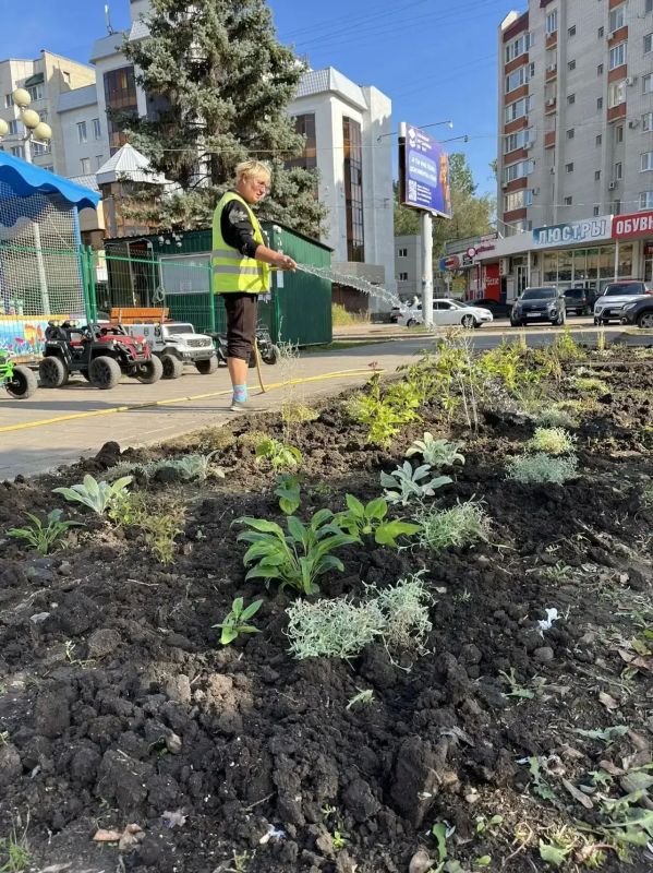 Итоги недели в сфере благоустройства Итоги недели в сфере благоустройства