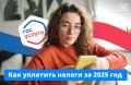 Спрашивали — отвечаем. Как уплатить налоги за 2025 год? Налоговая уже рассылает уведомления: в них — суммы транспортного, земельного и имущественного налогов