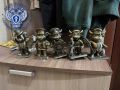 В Энгельсе перед судом предстанут трое обвиняемых в краже бычков «Энгельс-трека»