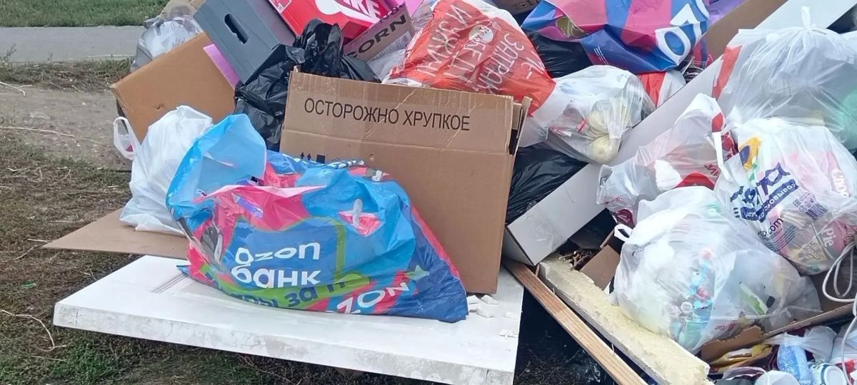 Саратов снова утопает в мусоре Саратов снова утопает в мусоре
