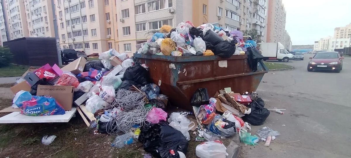 Саратов снова утопает в мусоре Саратов снова утопает в мусоре