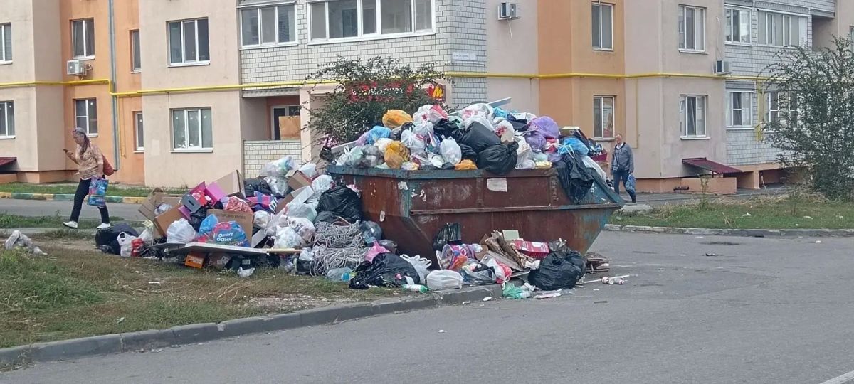 Саратов снова утопает в мусоре Саратов снова утопает в мусоре