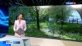 Сегодня на территории Саратовской области ожидается переменная облачность, без существенных осадков