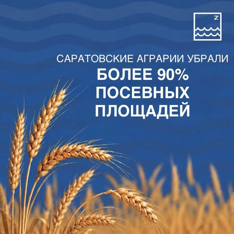 Саратовские аграрии убрали более 90% посевных площадей