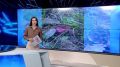 Доброе утро!. Начинаем день с самого первого выпуска «Вестей»