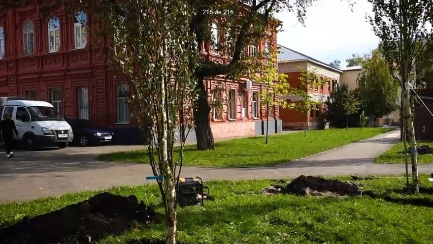 Осеннее озеленение Саратова началось с высадки крупных деревьев