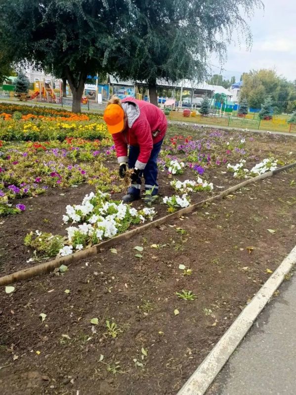 В Балаково продолжаются работы по благоустройству В Балаково продолжаются работы по благоустройству