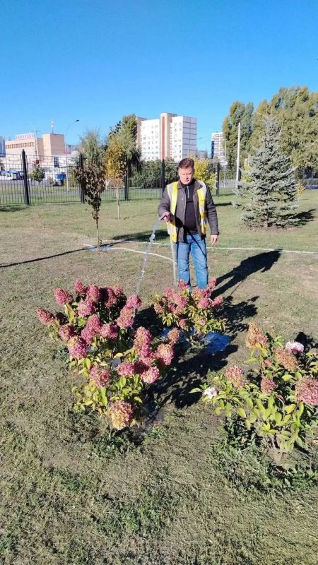 В Балаково продолжаются работы по благоустройству В Балаково продолжаются работы по благоустройству