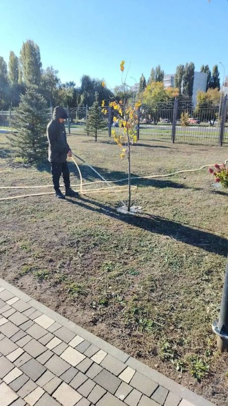В Балаково продолжаются работы по благоустройству В Балаково продолжаются работы по благоустройству