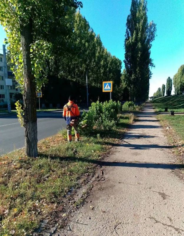 В Балаково продолжаются работы по благоустройству В Балаково продолжаются работы по благоустройству