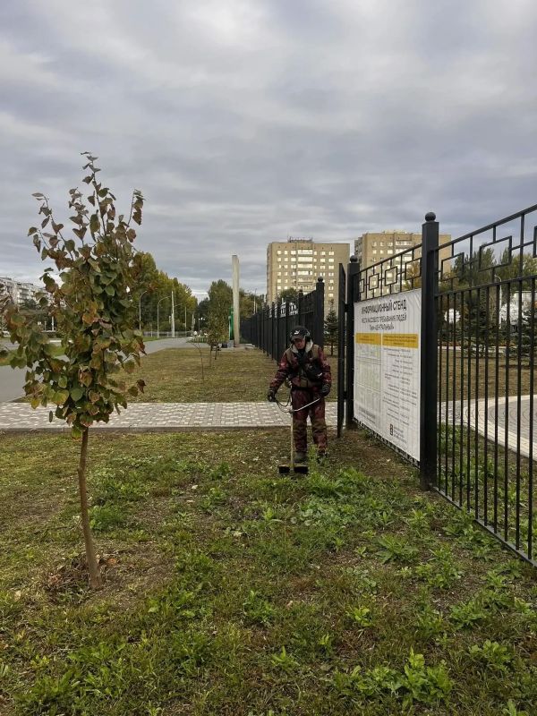 Благоустройство города Балаково продолжается в плановом режиме Благоустройство города Балаково продолжается в плановом режиме