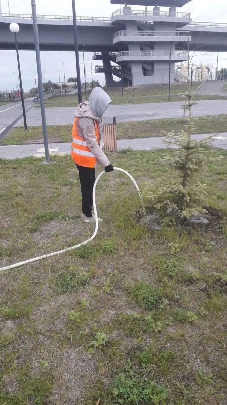 Благоустройство города Балаково продолжается в плановом режиме Благоустройство города Балаково продолжается в плановом режиме