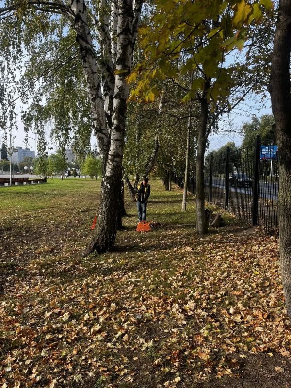 Благоустройство города Балаково продолжается в плановом режиме Благоустройство города Балаково продолжается в плановом режиме