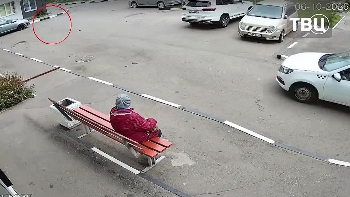 Трех новорожденных котят выкинули с восьмого этажа жилого дома в Энгельсе