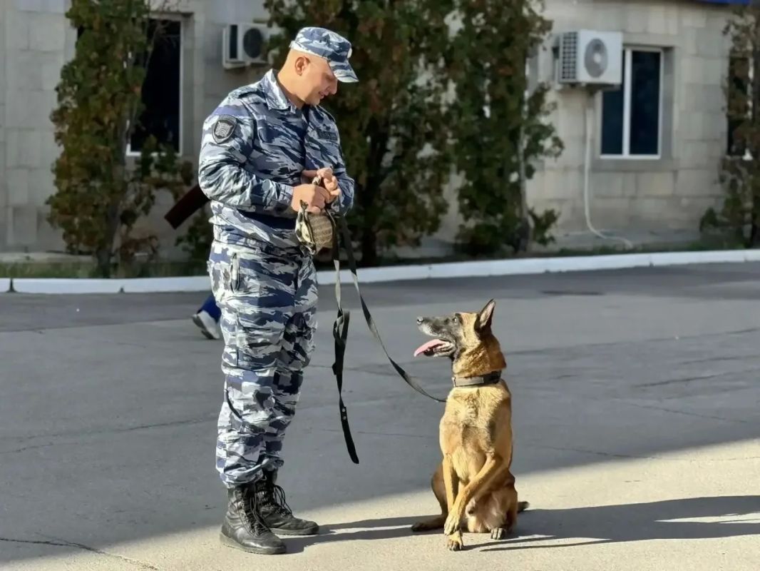 В Саратове прошло профориентационное мероприятие «Один день с полицией» В Саратове прошло профориентационное мероприятие «Один день с полицией»