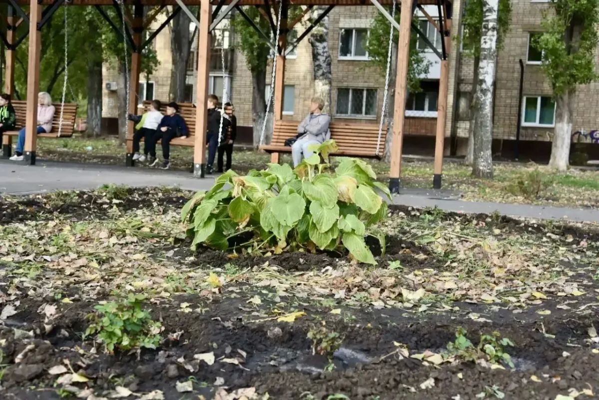 В сквере «Молодёжный» ведутся работы по высадке новых зелёных насаждений В сквере «Молодёжный» ведутся работы по высадке новых зелёных насаждений
