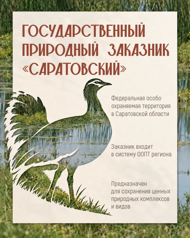 Заповедные места Саратовской области Заповедные места Саратовской области