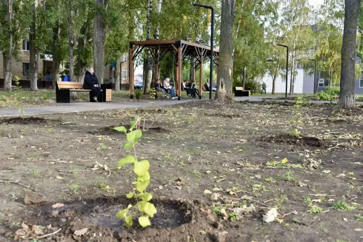 В сквере «Молодёжный» ведутся работы по высадке новых зелёных насаждений