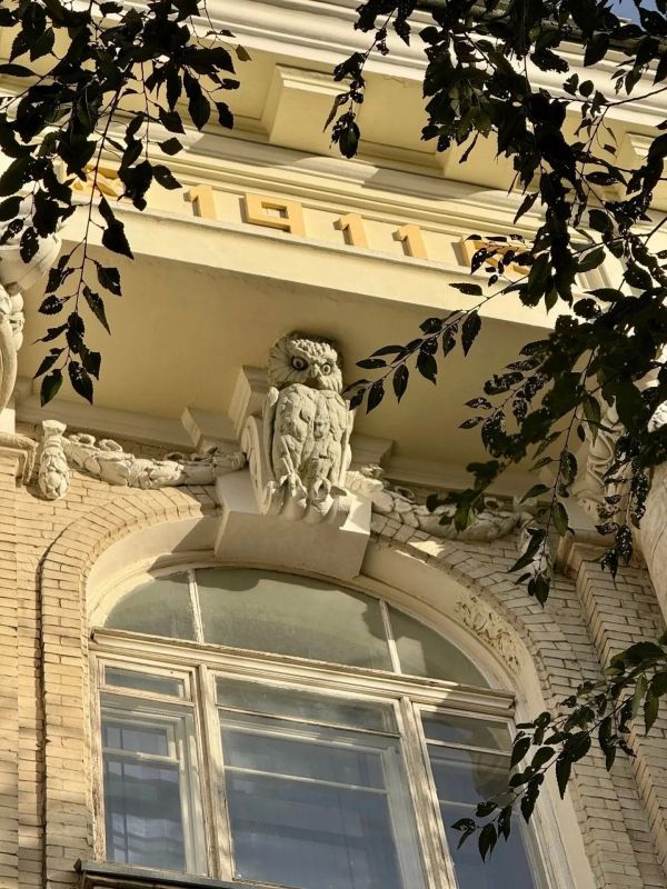 Саратовский ТИЦ поделился кадрами прогулки по университетскому городку Саратовский ТИЦ поделился кадрами прогулки по университетскому городку